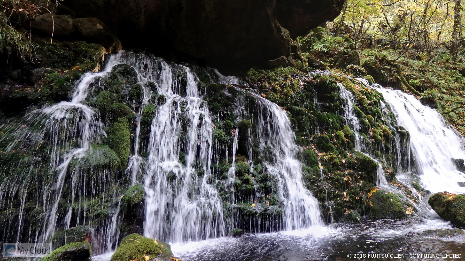 渋谷にて撮影会を行います
